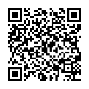 剑尘估计这只玄黄兽的实力即便沒有达到九阶巅峰二维码生成