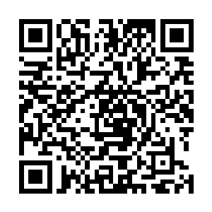 剑尘体内的毁灭法则之力在这四道剑气的帮助下尽数除去二维码生成