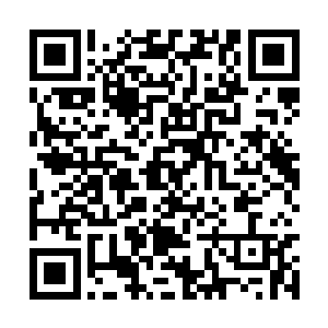 剑尘便通过印章内记录的信息掌握了麾下十名仙君二维码生成