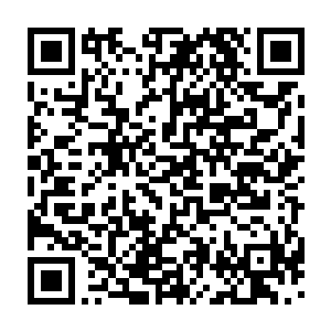 剑尘刚刚劈出的一道剑气清理出的通道很快就被密密麻麻的飞天蚁填满二维码生成