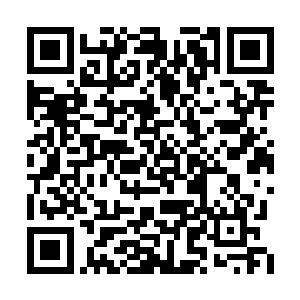 剑尘又从这个传送阵上取下一个拳头大小的石球二维码生成