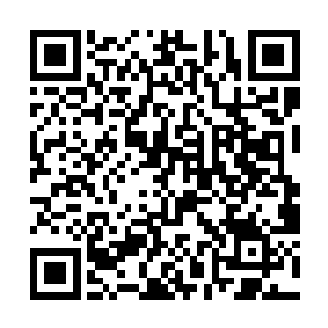 剑尘又来到了滋润这一片生命之地的生命之泉的面前二维码生成
