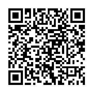 剑尘发现那只玄黄兽在人元果果树旁边蹲伏了下來二维码生成