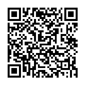 剑尘可是一位能够影响到他们万骨楼生死存亡的关键人物二维码生成