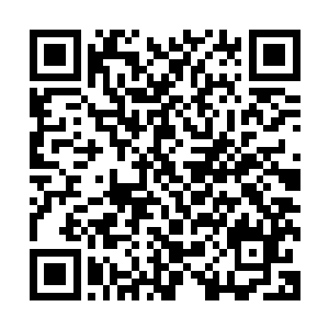 剑尘向着一名拥有初级圣师实力的中年男子展开了凶猛的攻击二维码生成