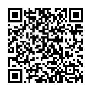 剑尘和小刀以及云轩三人站在远处目不转睛的盯着场中的打斗二维码生成