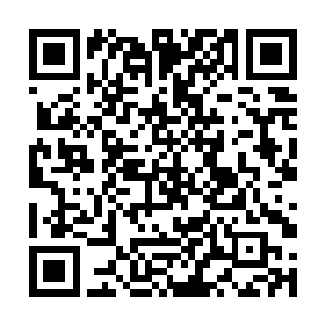 剑尘和那三名天雄家族的护卫在树林间激烈的打斗着二维码生成