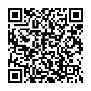 剑尘和铁塔两人拿着各自的武器继续踏上了旅程二维码生成