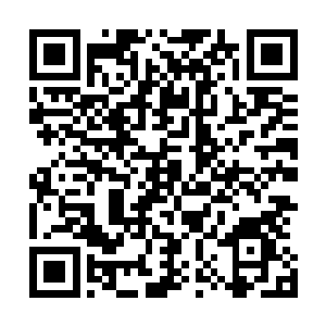 剑尘和长阳府众人告别之后就和祖爷爷碧海一同离开了这里二维码生成