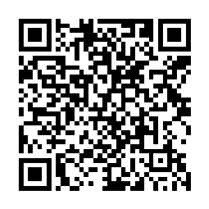 剑尘和龟族的所有元老以及泰鸿家族的人全部都齐聚大殿内二维码生成