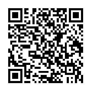 剑尘对武魂一脉的几位传人也是有了一个简单的认识二维码生成