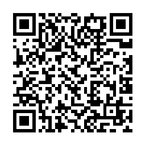 剑尘将一滴蕴含着他精气神的混沌精血滴入噬仙妖花二维码生成