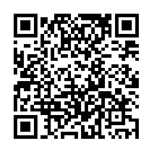 剑尘将装有紫云仙桃和悟道茶树的木盒递到长阳霸手中二维码生成