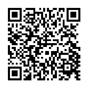 剑尘小友带着我们去看一看佣兵之城地底深处的那一道封印二维码生成