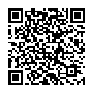 剑尘就是伪装成第五殿殿主的事迹早已不是秘密了二维码生成