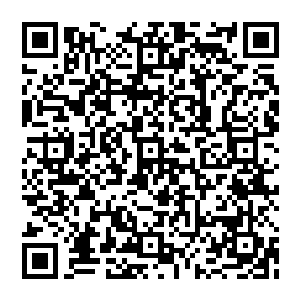 剑尘已经隐约猜到如今所有圣帝境界的至强者估计都在吸纳海量的天地元气來慢慢的炼化成本源力量二维码生成