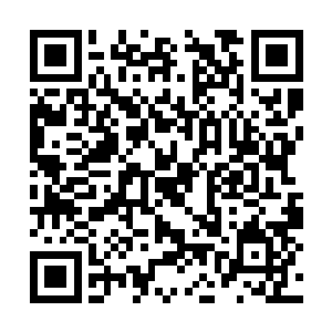 剑尘带着六长老和丁卯二人悄无声息的出现在这里二维码生成