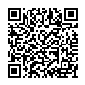 剑尘并没有剥夺任何一方势力领头人手中的权利二维码生成