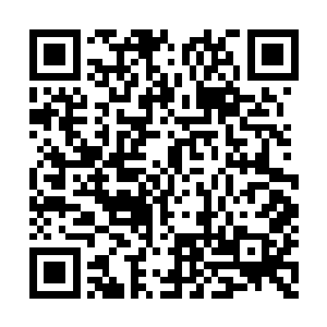 剑尘毫不留情就斩断了矮小老者一条手臂的举动二维码生成