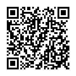 剑尘爱不释手的将紫青双剑拿在手中轻轻抚摸着二维码生成