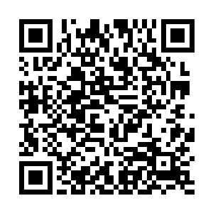 剑尘现在还不想把自己能控制光明圣力的事情公布出去二维码生成