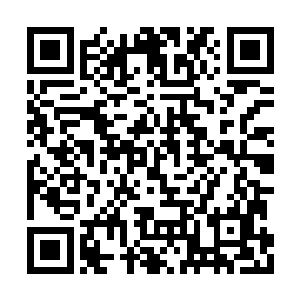 剑尘的举动立即吸引了大街上来来往往的所有人二维码生成
