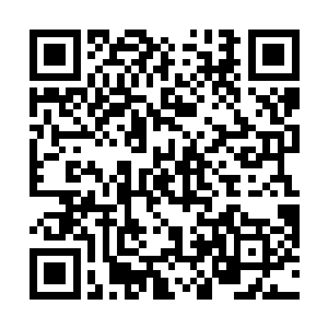 剑尘的实力再一次让卡加斯学院中的所有师生感到震惊二维码生成