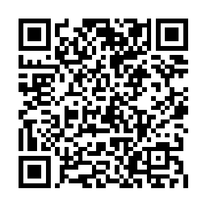 剑尘的帝王神器看上去就仿佛是缠满了一层绷带二维码生成