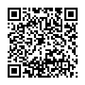 剑尘的手掌毫无悬念的落在了落雪峰峰主的脑袋上二维码生成