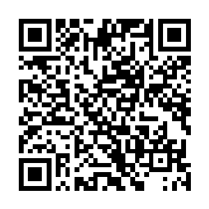 剑尘的混沌之体在不停的被修复与被破坏中顽强的挣扎着二维码生成