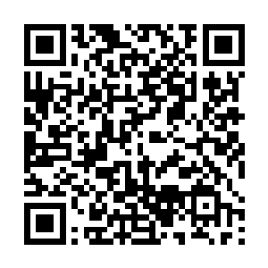 剑尘的目光顿时望向最深处那片滋养古斯塔肉身的血池二维码生成