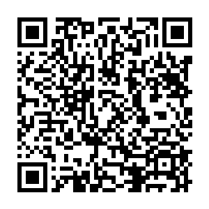 剑尘的神识清晰的看到这株漆黑如墨的引魂莲正在凯亚的嘴里慢慢的融化二维码生成