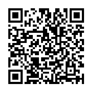 剑尘的这番话让对面七人的脸色顿时变得难看了起来二维码生成