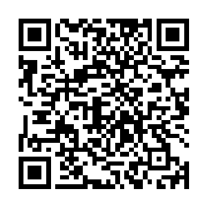 剑尘的那两把剑也只是与仙界的紫青双剑有着相似而已二维码生成