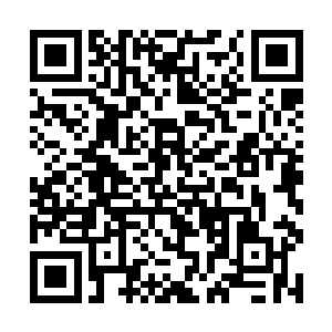 剑尘目光平淡无奇的从四十多只七阶魔兽脸上扫视了二维码生成