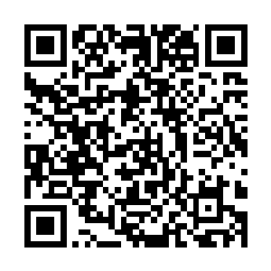 剑尘盯着莫天云的石像看了许久才逐渐的会过了神来二维码生成