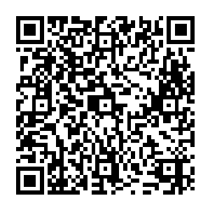 剑尘眼中光芒闪烁略微迟疑放弃了施展神降术灭杀两名长老的想法立即向着远处逃去二维码生成