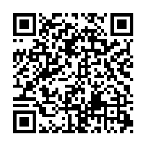 剑尘突然开始问起关于武魂一脉那位至尊的事迹二维码生成