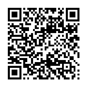 剑尘立即将自己之前在骨塔内的情况完整的讲述了出来二维码生成
