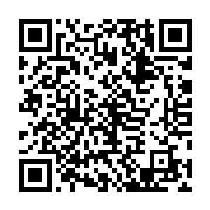 剑尘立即感觉有一股强大的武魂力从青山眉心中迸射而出二维码生成