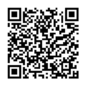 剑尘立即感觉自己就仿佛是服下了悟道古茶树似得二维码生成