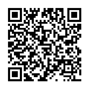 剑尘站在不远处看着正从空间之门内源源不断走出的士兵二维码生成