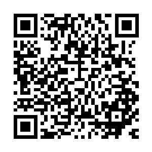 剑尘能如此迅速的斩杀一名实力与他们相差不大的同境界强者二维码生成