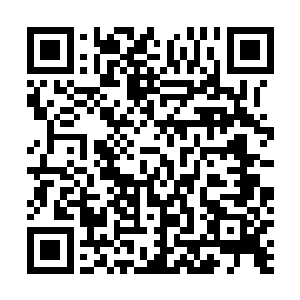 剑尘脑中不由自主的浮现出自己和沈剑两人刚来到圣界时二维码生成