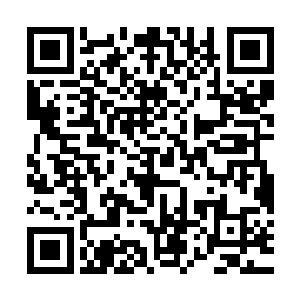 剑尘被几名实力达到大地圣师阶级的高手恭恭敬敬的请到大帐内二维码生成