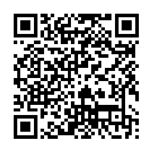 剑尘被这道突然出现的极其强大的能量狠狠的击中背部二维码生成