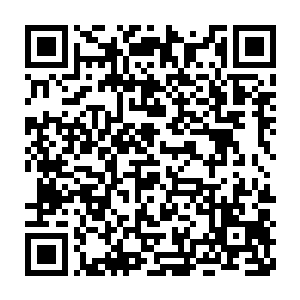 剑尘趴在二十公里外的一颗大树上默默的注视着前方的那只玄黄兽二维码生成