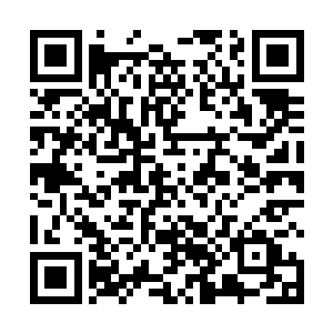 剑尘跟在黄老先生身后从另一条通道上了拍卖会的二楼二维码生成