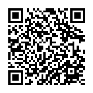 剑尘跟随在水韵蓝身后进入了这座由秩序交织而成的冰雪宫殿中二维码生成