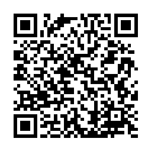 剑尘身上的重伤立即以快得不可思议的速度迅速恢复着二维码生成